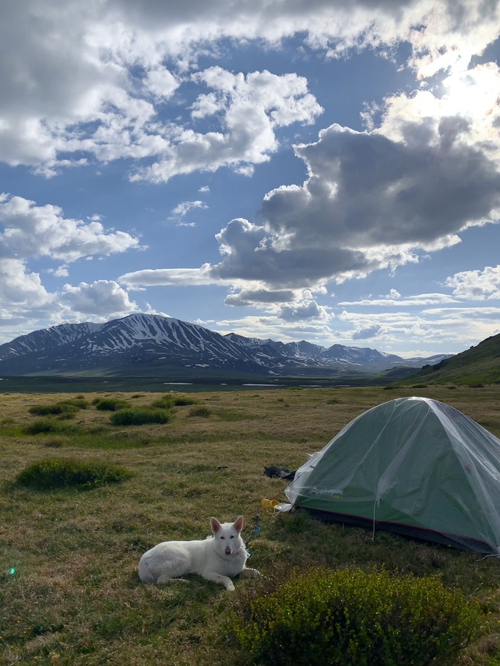 ��� ����� ����������� ������� ��� ��������. ������ � �� ����!