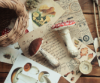 ������� �� ����