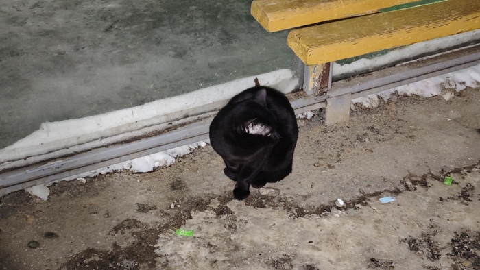 ����� �������� �������