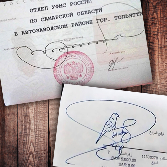 Фото с просторов интернета