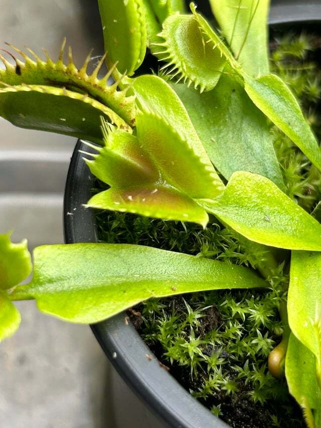 ��������