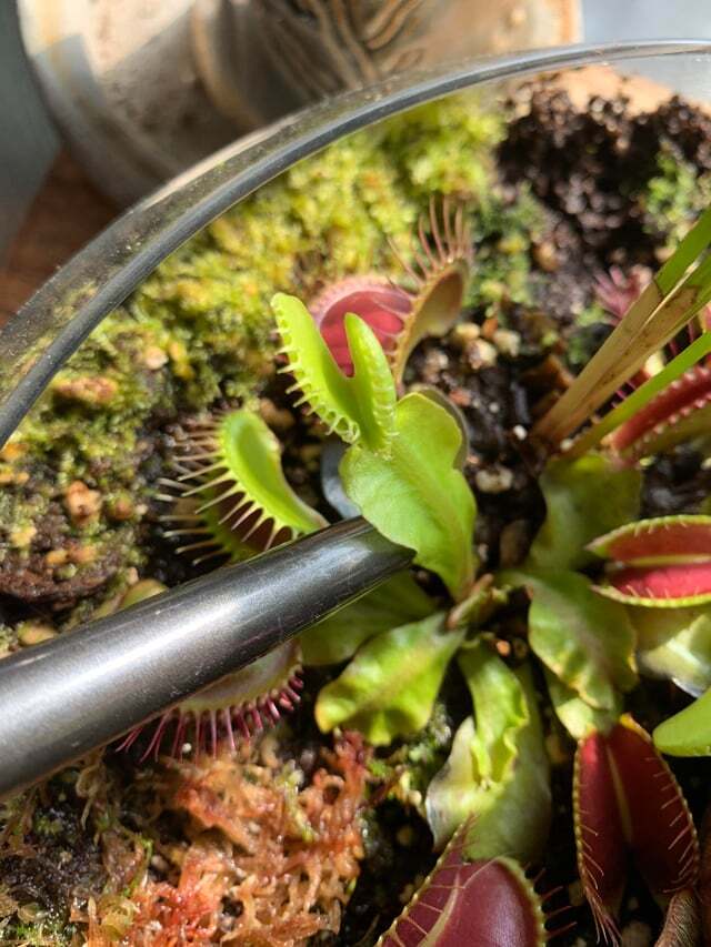 2 ������� �� ����� �����