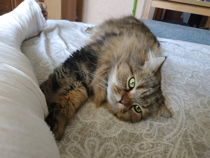 � ���� �����.