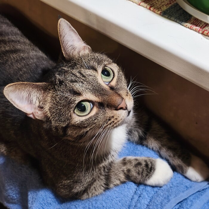 ����� �� ��������� ��������...