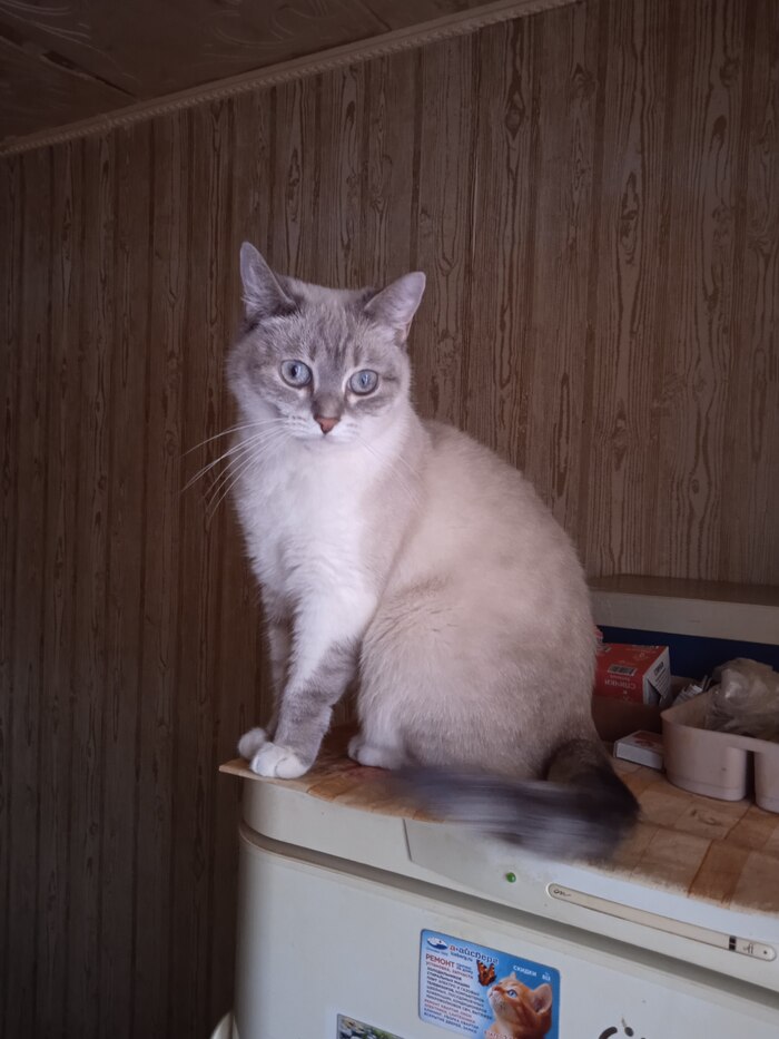 ����� ��� � ����