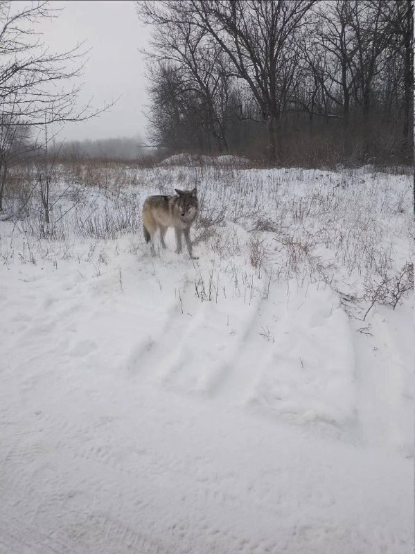 ������ ����,� ����� �� ������� �������