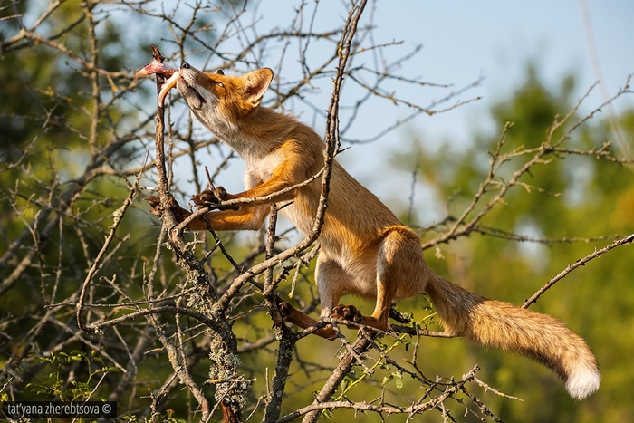 � �� ��� �� ������ ���� ����� ����?