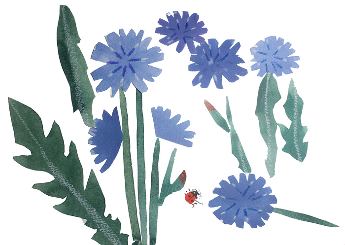 �������