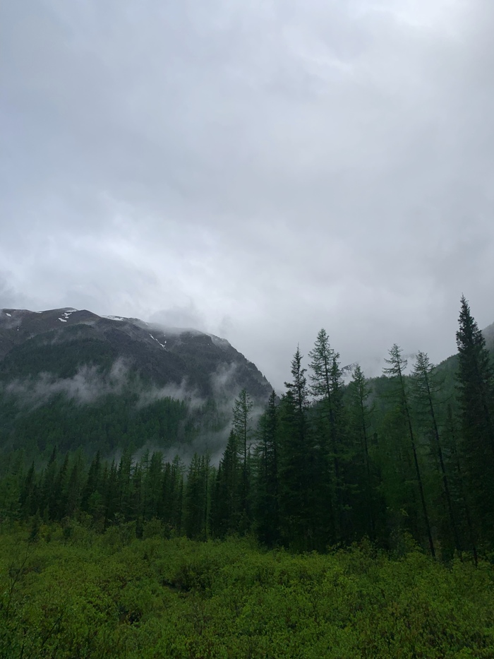 Когда шли по лесу, солнце скрылось окончательно. Погода стояла пасмурная и мрачная.