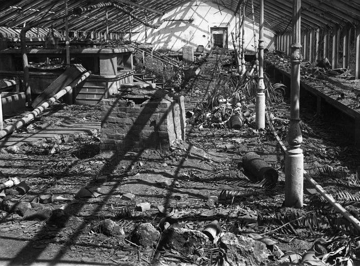 ��������� � 17 ������������� ���� ����������, ����������� ������� �������� �����. �� ��������� ��������� � ���������� ������������� ����� ��� ���.