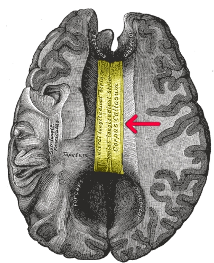 ����������� �����: ��� �������� ������� ����� ���� �������� � ����� ������