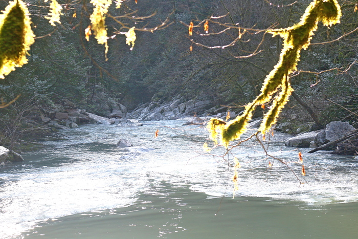 ���� �� ������� ������� �� �������� �����