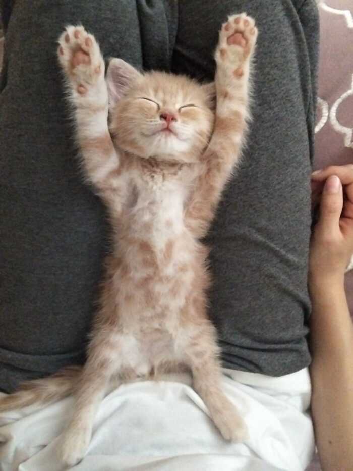 ������ ���