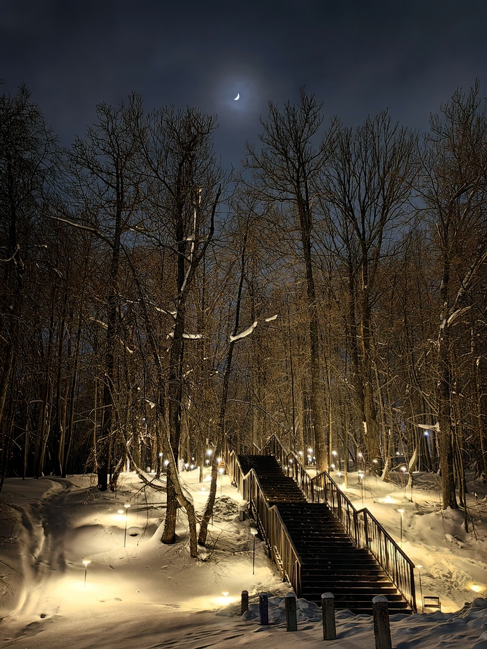 Следуя за луной