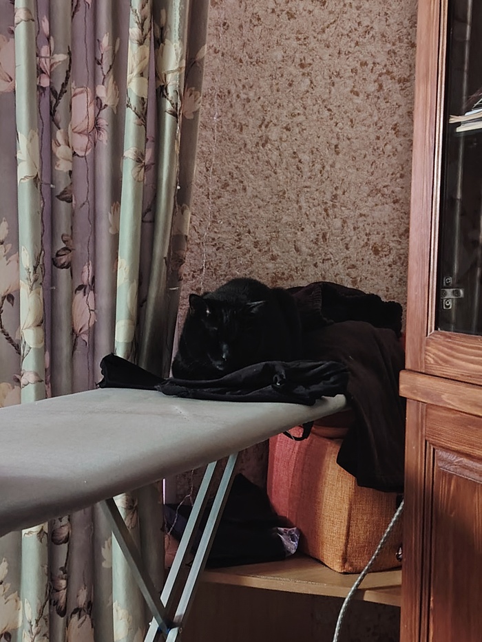 ����� ����...