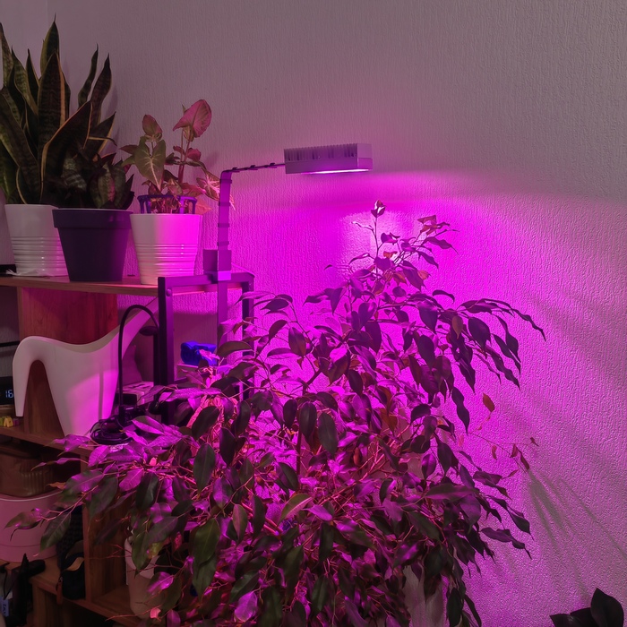 ������ - ��� ����ũ! ����� �������� �� �������� �����������, ������������� �� 3D-��������, � ������ ������������ 3D-��������� ��������. � �������� �� ������� ������ ����. ��������� �� �������� ��� ��� �������, ������ ������ �������������.