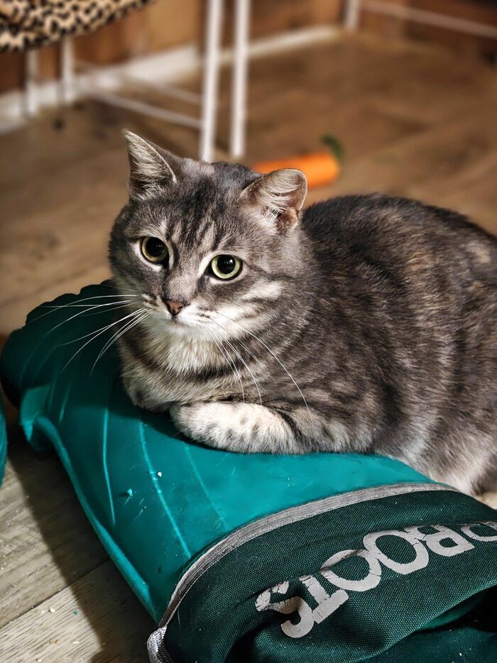 ����� ��� ������ ����� � � ����� ��� ��� �����