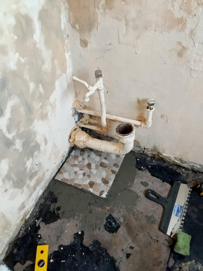 ������ ������