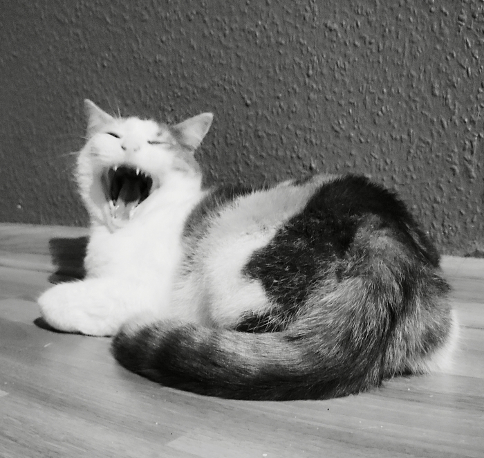 ����� ��� � ������� �������