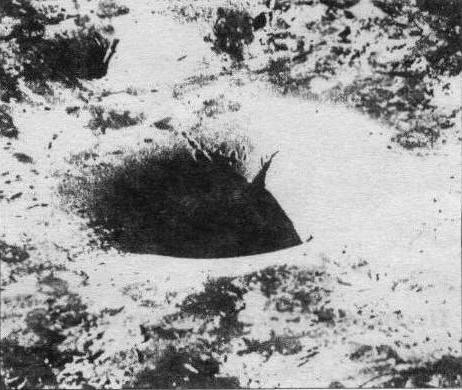 �������� � ������ �� ������ ���-250