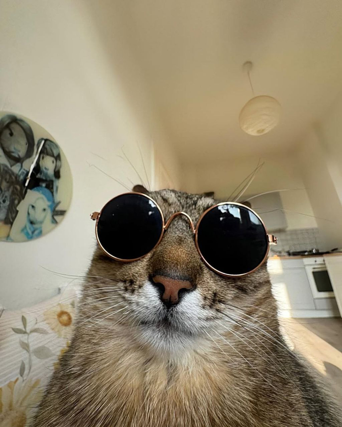 Все фотографии взяты из официального канала на платформе Iнсtаgрам