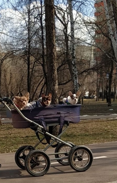 Живут свою лучшую жизнь