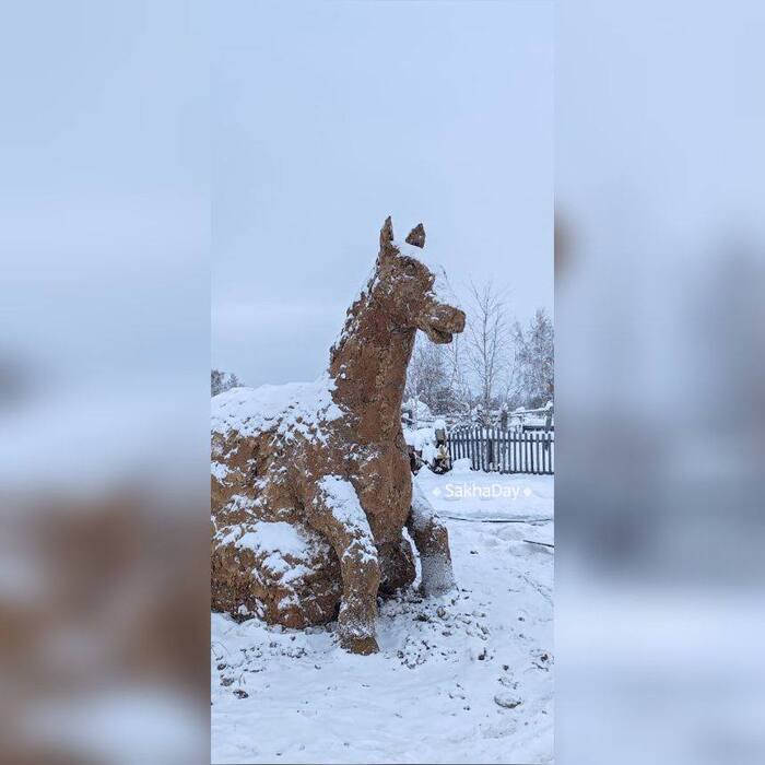 ����: SakhaDay