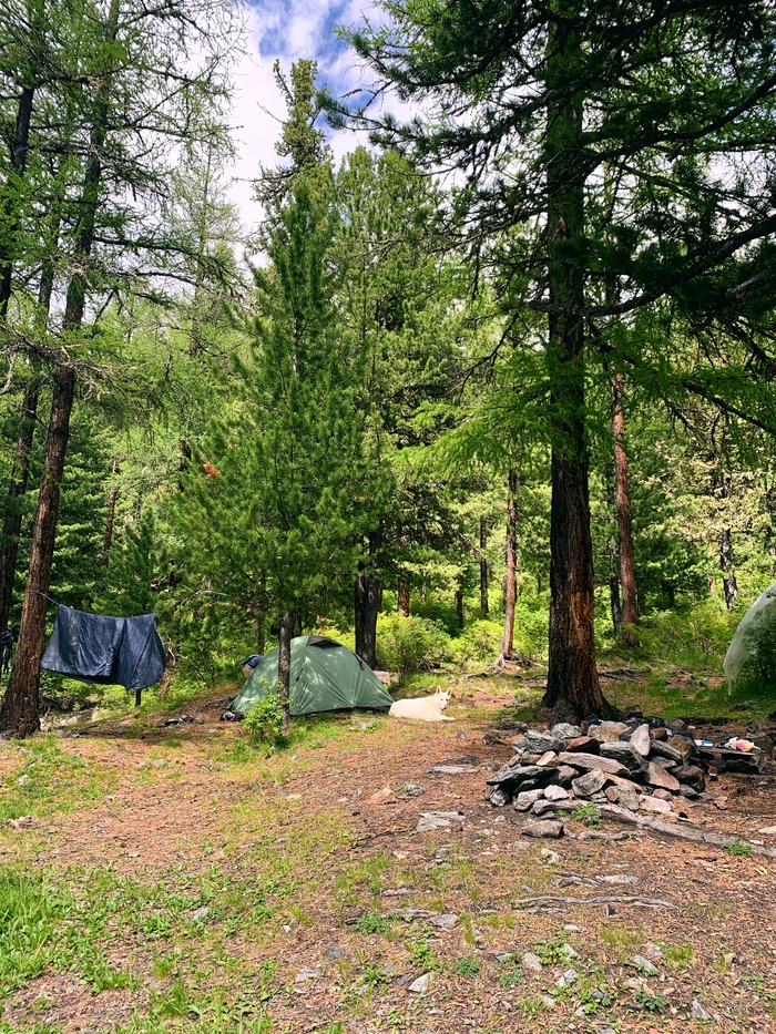 ��� ��� �� ��������� ���