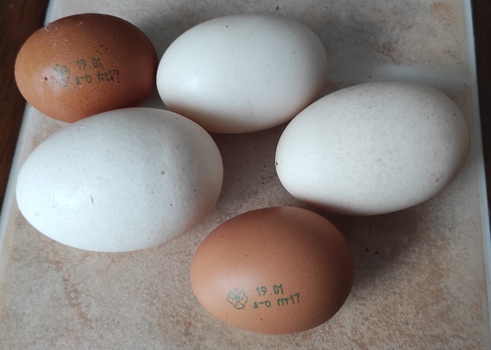 ����������� ���� ������ � �������� ��������