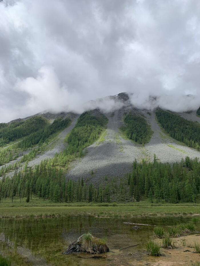 � ������������ ���� ������ ���������