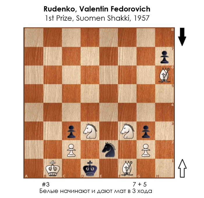 ������������ #237