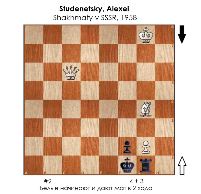 ������������� #383