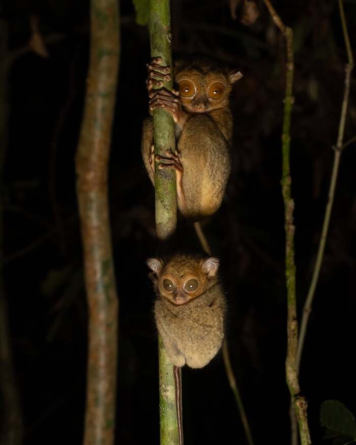 ����� ��������� ��������� � ��������