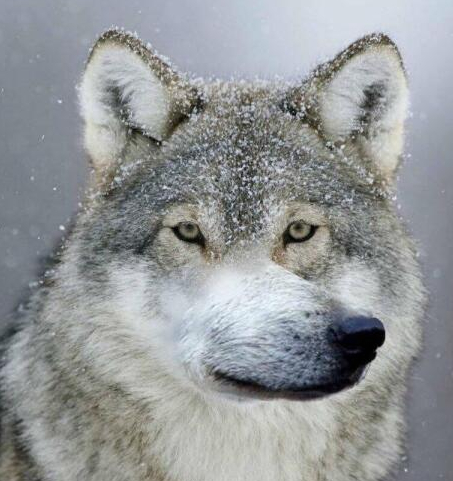 ���� � "��������� ������!"