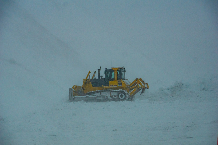 ������. �������������. ���� ������, ���� ���� ������