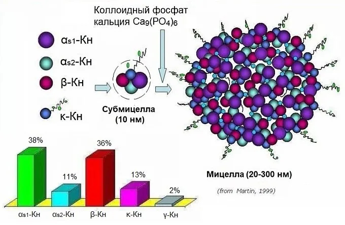 Что такое молоко? (Часть 3)