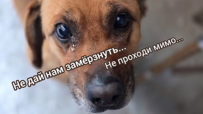 ������ ���� ��� ���� ������ �������� � � �������� �� ����! ��������� ���� �� ������ ������ ������