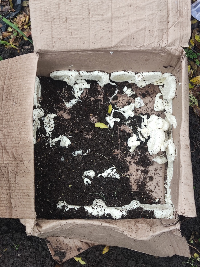 продавец скрепил технологические горшки монтажной пеной, но от диких доставщиков их это не спасло