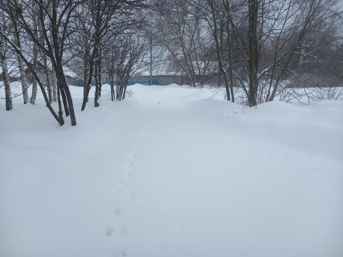 �� ����������� ������ 20 ������.