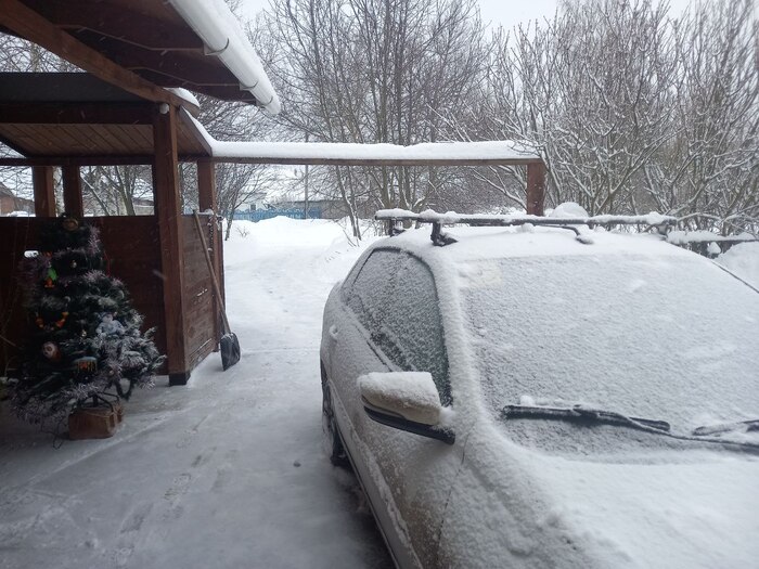 ���� ������, ������, � ���� ����