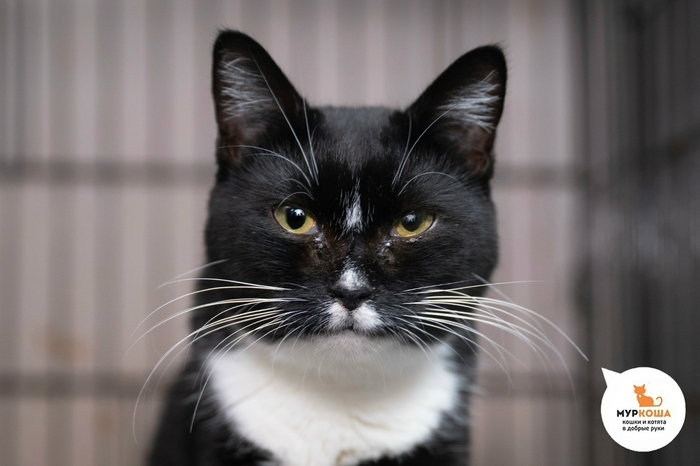 ����� ��������, 2 ����, �� ������������� ��������.