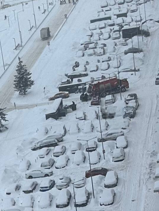 Ответ ComandantePuffin в «Я почистила - место мое!»