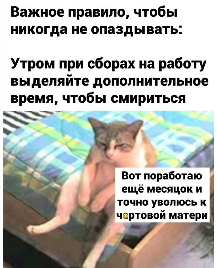 ��,���� ������� �������