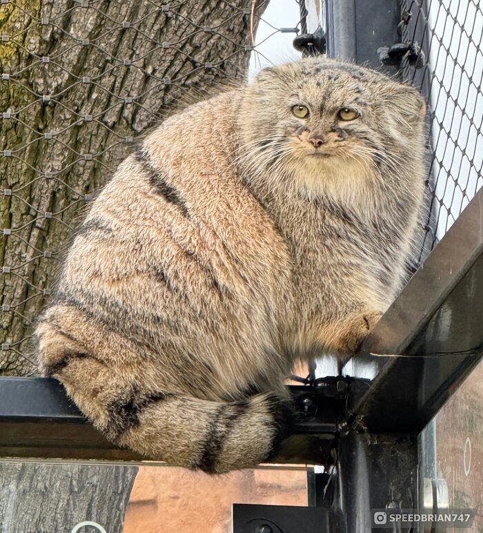 ���� � ��� �������?