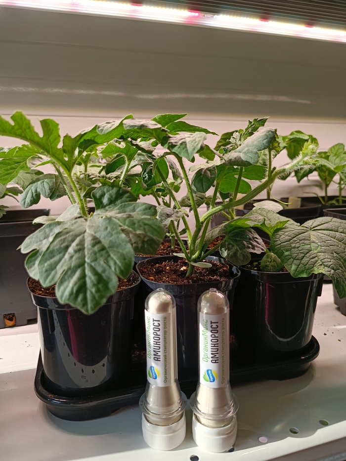 ��� ��� ����� ����� ��������� ��� ���������, ����� ����� ��������