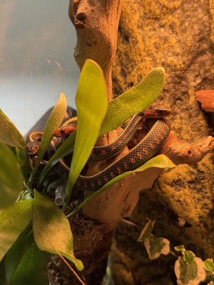 ����� ����� ���� � ������, � ����� ��������� ��� ����������� ������ �� ������