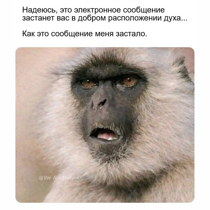 ����� ����������� )))