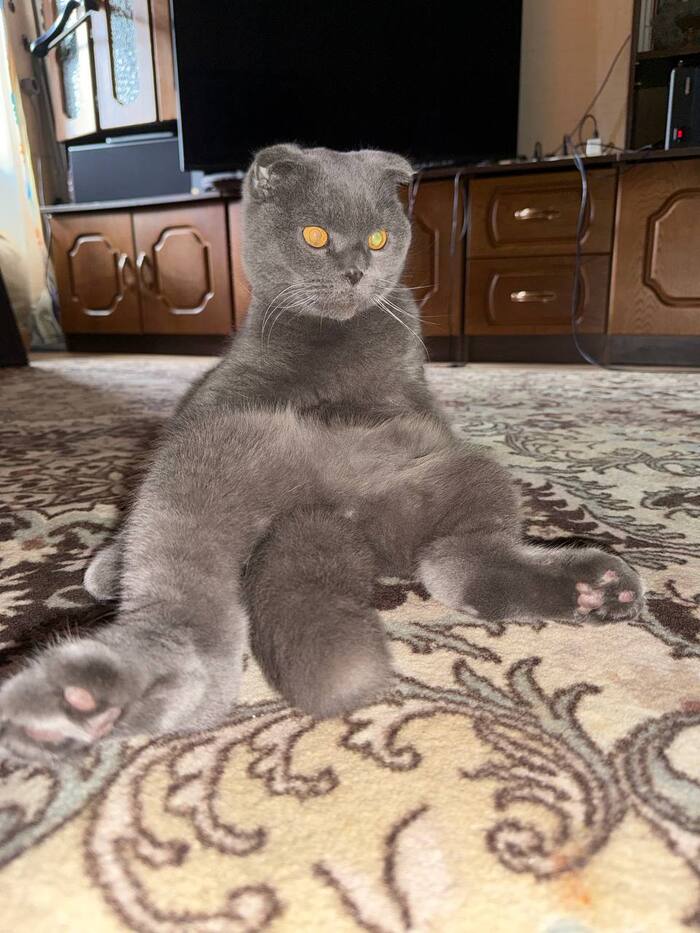 ������� �� ����� �� ������ ������ � ��������, ��� ���� ����� ������ �� ������� �