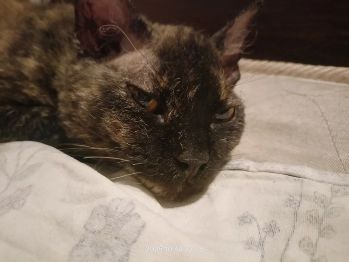 ����, �� ����� ��� � ��� ����. ���� � ���� ������� ���� �� ��� 70% ��� ���� �� ����-�� ����� ����������. ���� ����� ����������, �������� ������ ��� � ������� ����� ��� ������ ������ � �� ���������� ������ � ������