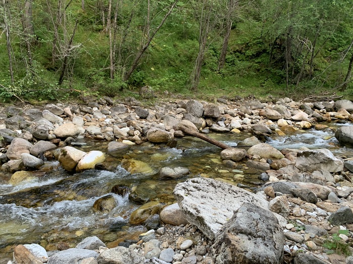 � ����� ����� �������� ������� ����� �����.